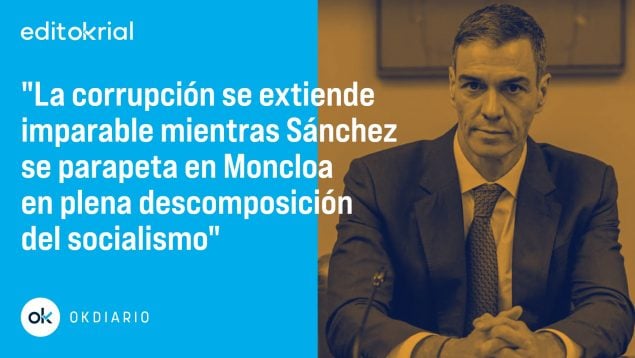 Roban como una mafia y se atrincheran como una secta