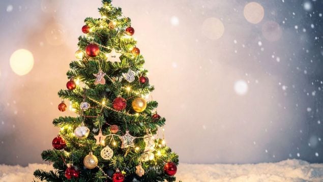 Poner el árbol de Navidad