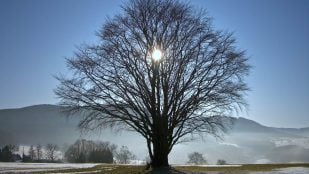 Solsticio de invierno