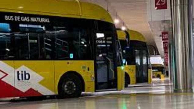 Govern gratuidad transporte