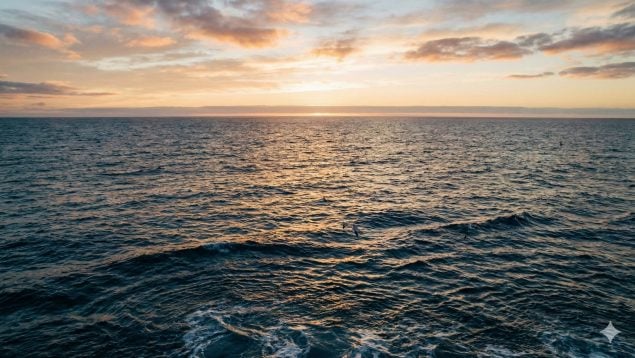 Mar, océano, ciencia