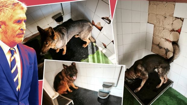 Marlaska, perreras, El Pardo, Centro de adiestramiento de perros de la Guardia Civil