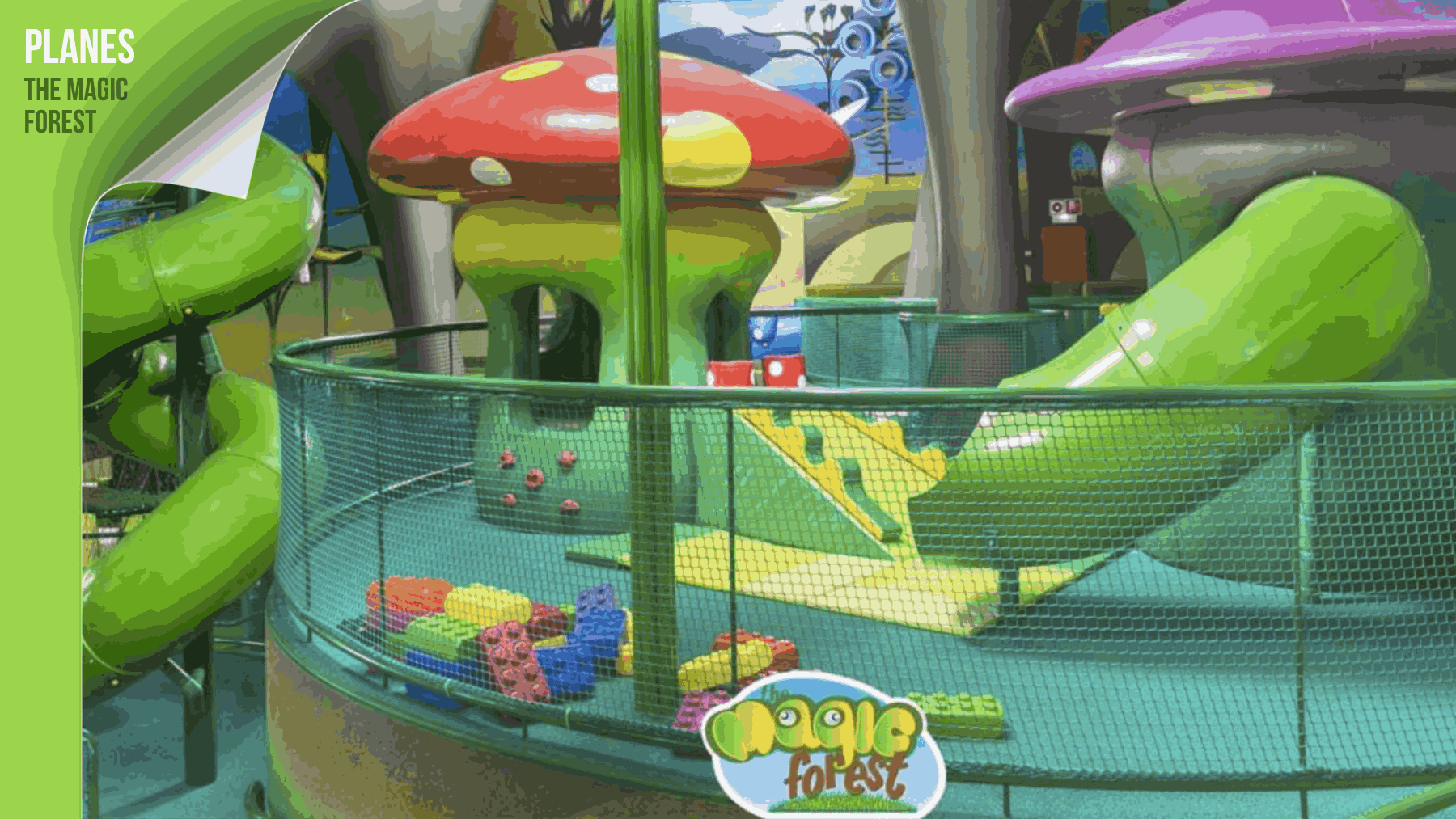 The Magic Forest, Madrid