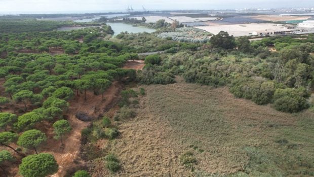 Vista aérea de la Laguna de las madres