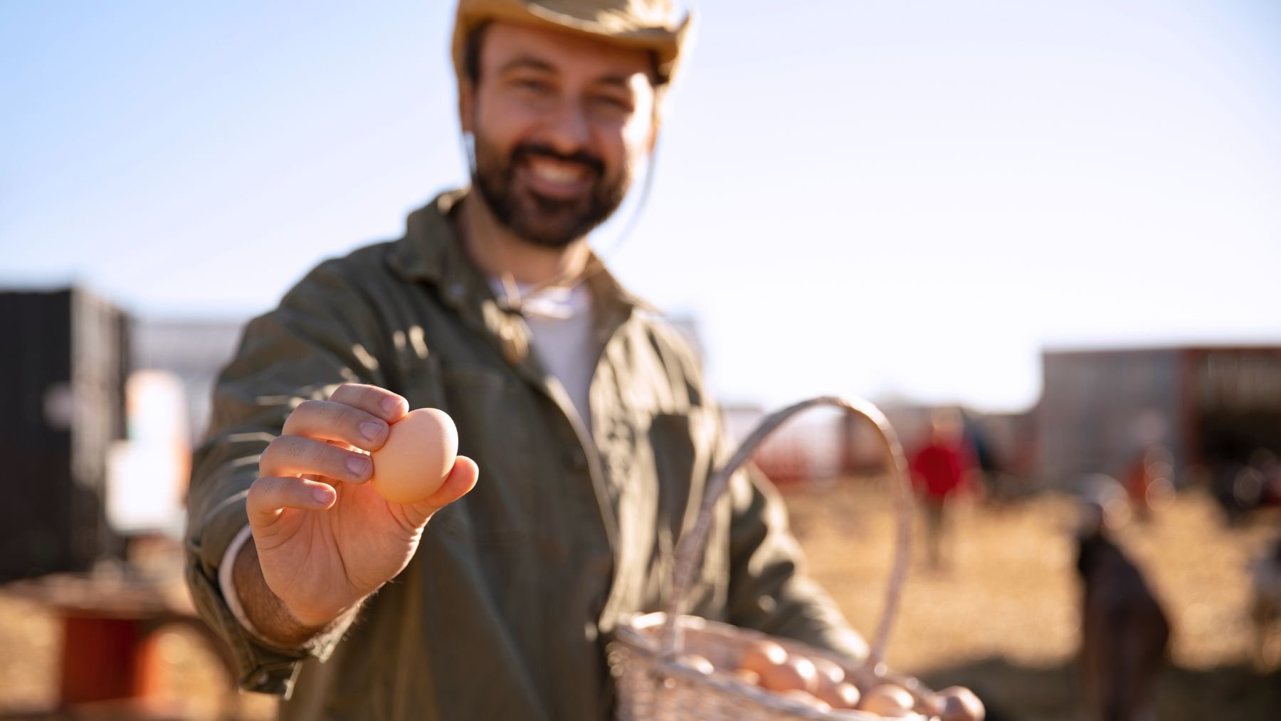 Las matemáticas no mienten: un agricultor de Ciudad Real produce sus propios huevos y ahorra 2,36€ en cada docena