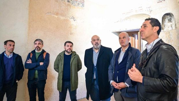 Palma joya, Palma Torres del Temple