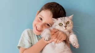 Gatos, Niños, Mascotas,