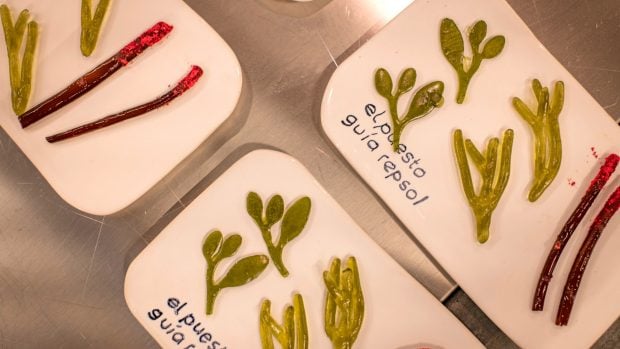 Ángel León Chucherías marinas