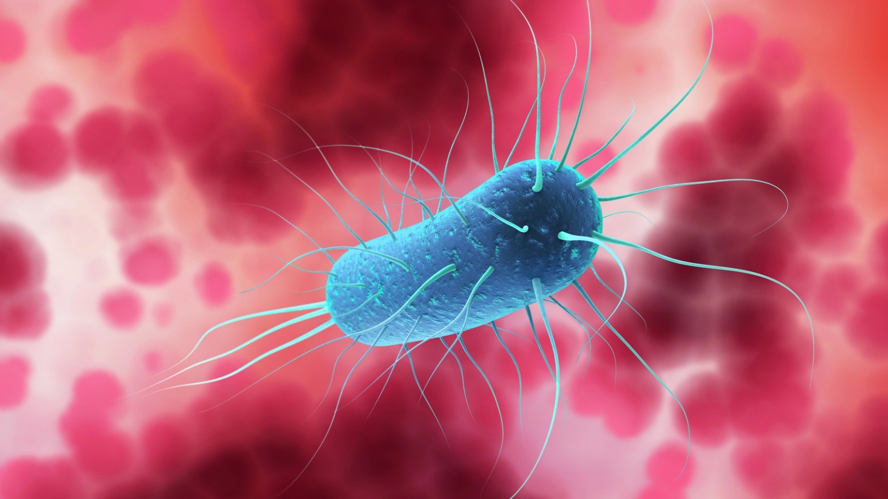 Los microbios intestinales están evolucionando: ¿y si se rebelan contra ti?