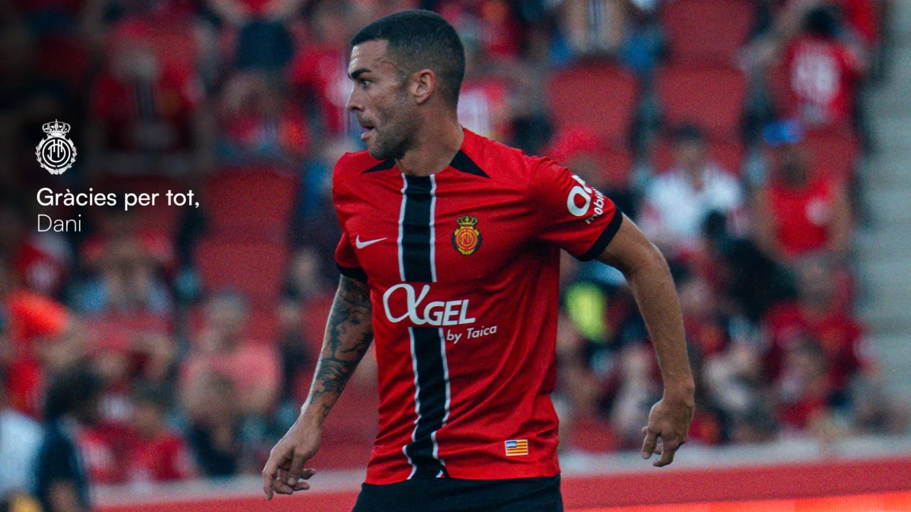 Dani Rodríguez: Sólo puedo decir gracias