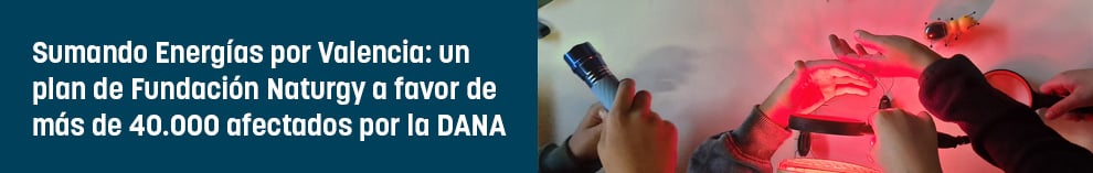 Sumando Energías por Valencia: un plan de Fundación Naturgy a favor de más de 40.000 afectados por la DANA