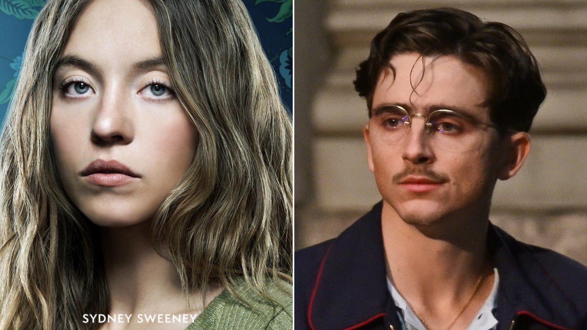 La cartelera de enero: de Sydney Sweeney a Timothée Chalamet, los 6 estrenos que no te puedes perder