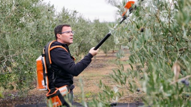 candidatos Extremadura jornada de reflexi&oacute;n