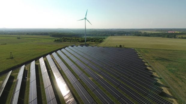 buenas noticias medioambiente 2025 renovables