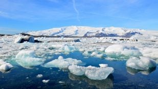 Huevo fósil, Antártida, hallazgo