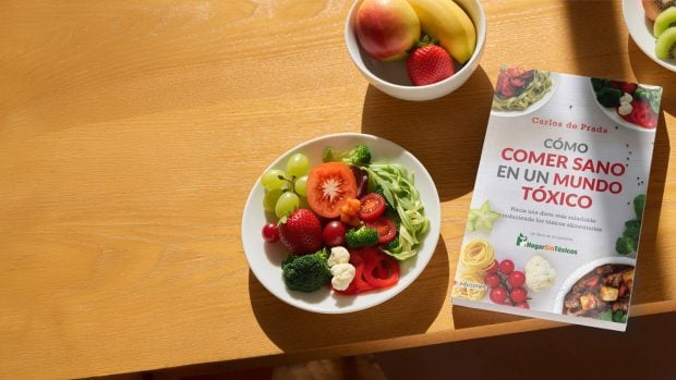 Carlos de Prada libro