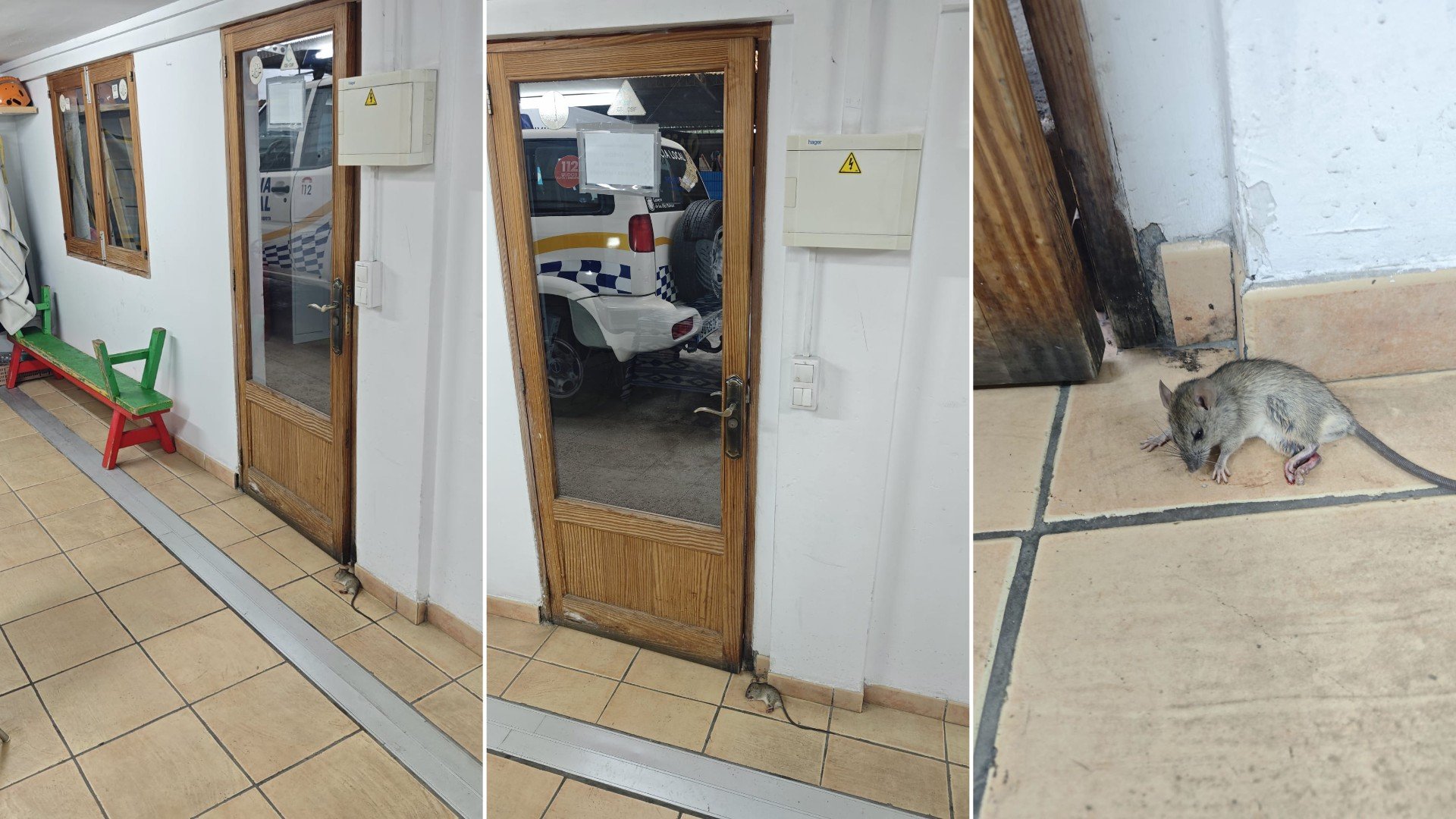 Una alcaldesa separatista de Mallorca obliga a comer a sus policías entre ratas y uniformes sucios