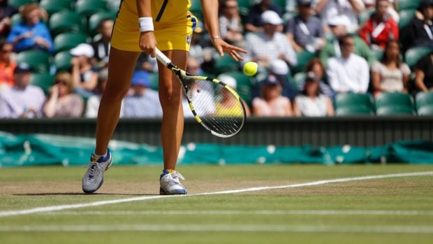 Los otros ganadores de Wimbledon: sus pelotas de tenis son reutilizadas como casas para ratones