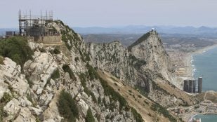 Actividad tectónica