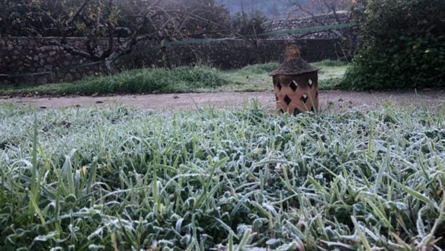 Estos son los 5 lugares de Mallorca que se comieron bajo cero las uvas en Nochevieja