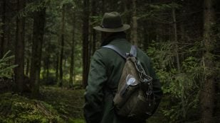 El refrán que nació en la caza en España, refranes españoles de caza, refranes de caza, expresiones populares de caza, origen refrán al mejor cazador se le va la liebre.