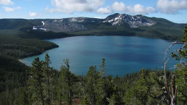 Vista hacia el sur a trav&eacute;s de la caldera del volc&aacute;n Newberry.(Foto: USGS/Seth Moran).