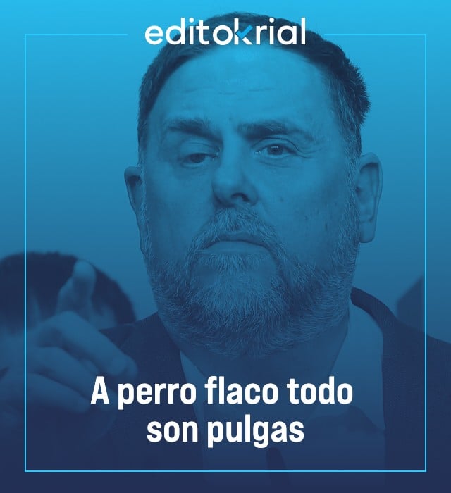 A perro flaco todo son pulgas