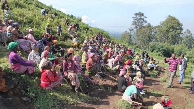 Población etíope participando en las plantaciones. (Foto: Green Legacy Initiative).