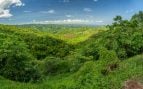 Paisaje con abundante vegetación y árboles en el Valle de Omo, en el sureste de Etiopía.