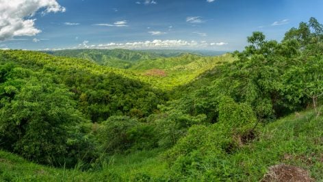 Paisaje con abundante vegetación y árboles en el Valle de Omo, en el sureste de Etiopía.