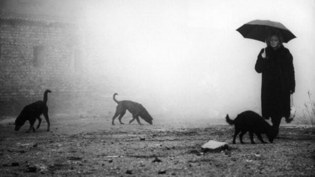 B&eacute;la Tarr pel&iacute;culas streaming