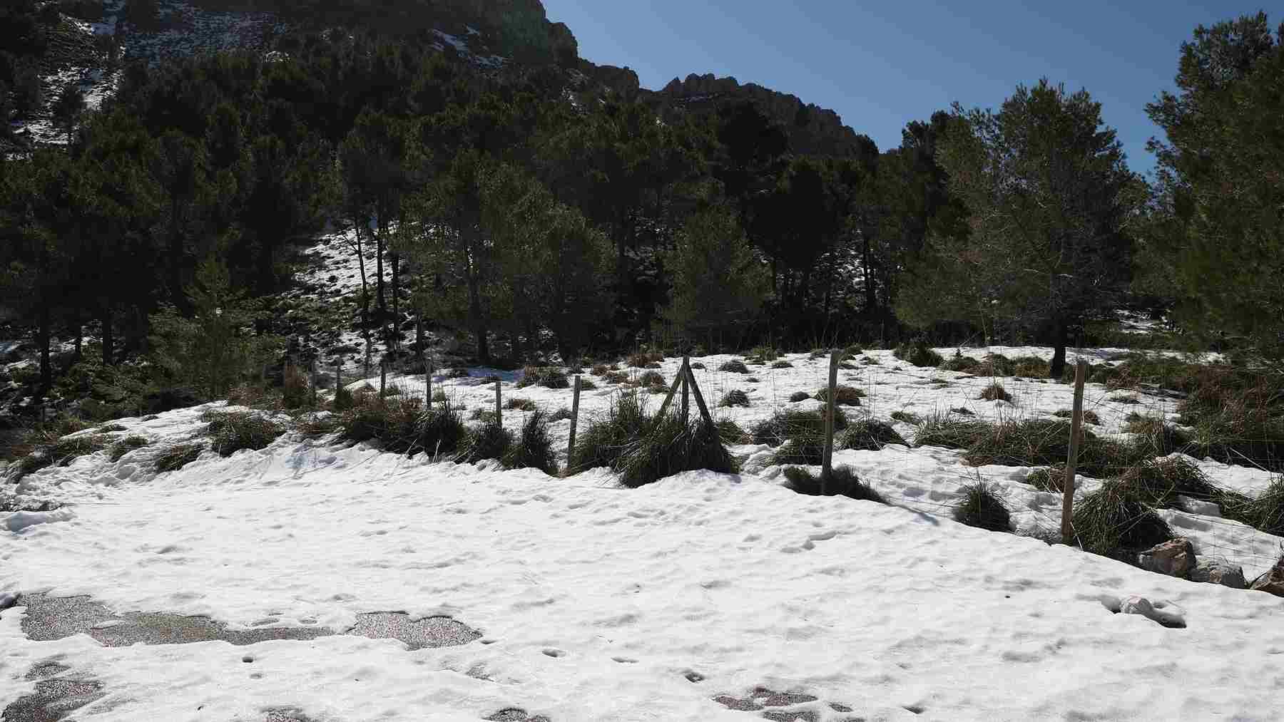 Mallorca se congela: alerta amarilla por frío bajo cero y Menorca, a toda vela con viento y olas gigantes