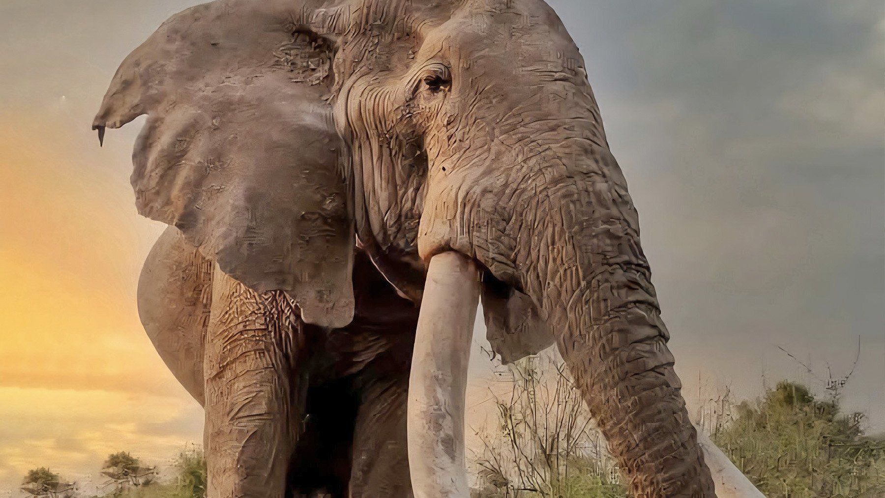 La zoología está de luto: muere en Kenia con 54 años uno de los últimos elefantes de colmillos gigantes del mundo