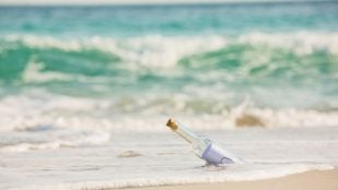 Ciencia, basura, océano