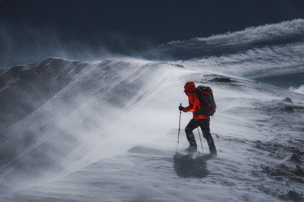 Los investigadores españoles impactados por el descubrimiento sobre las algas rojas y la