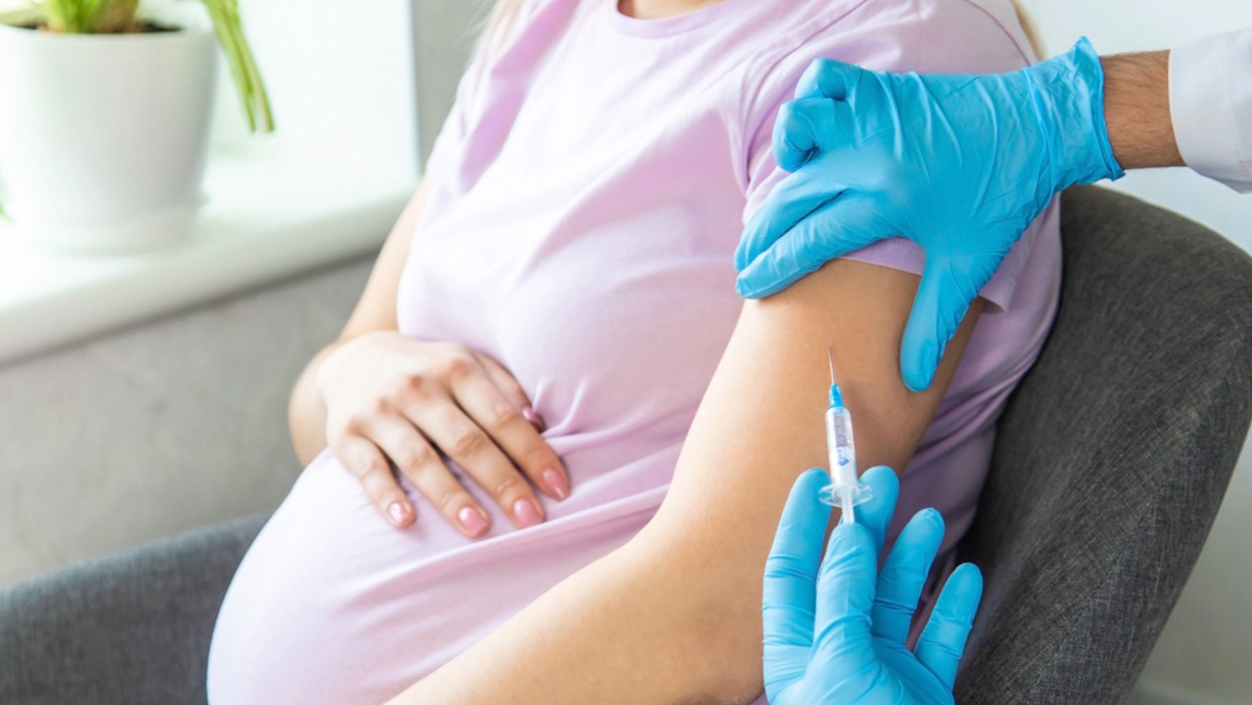 Demuestran que la vacuna contra la tosferina en embarazadas fortalece el sistema inmune de los bebés