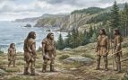 neandertales, historia, humanos