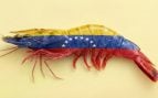 langostino, venezuela, españa, petróleo