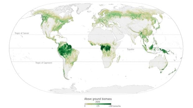 Mapa global de biomasa, en el que se percibe la importancia de los bosques situados en los tr&oacute;picos. (Foto:ESA).