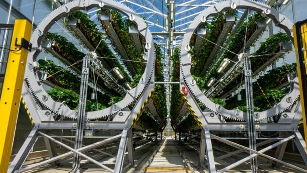 Agricultura sostenible: Sistema de cultivo rotario. (Foto: Dyson Farming).