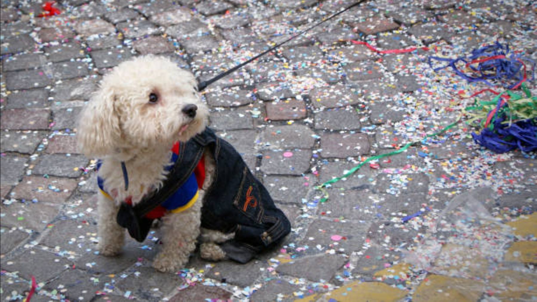 Giro insospechado: el motivo por el que en este lugar de Andalucía no se celebra San Antón cuando toca