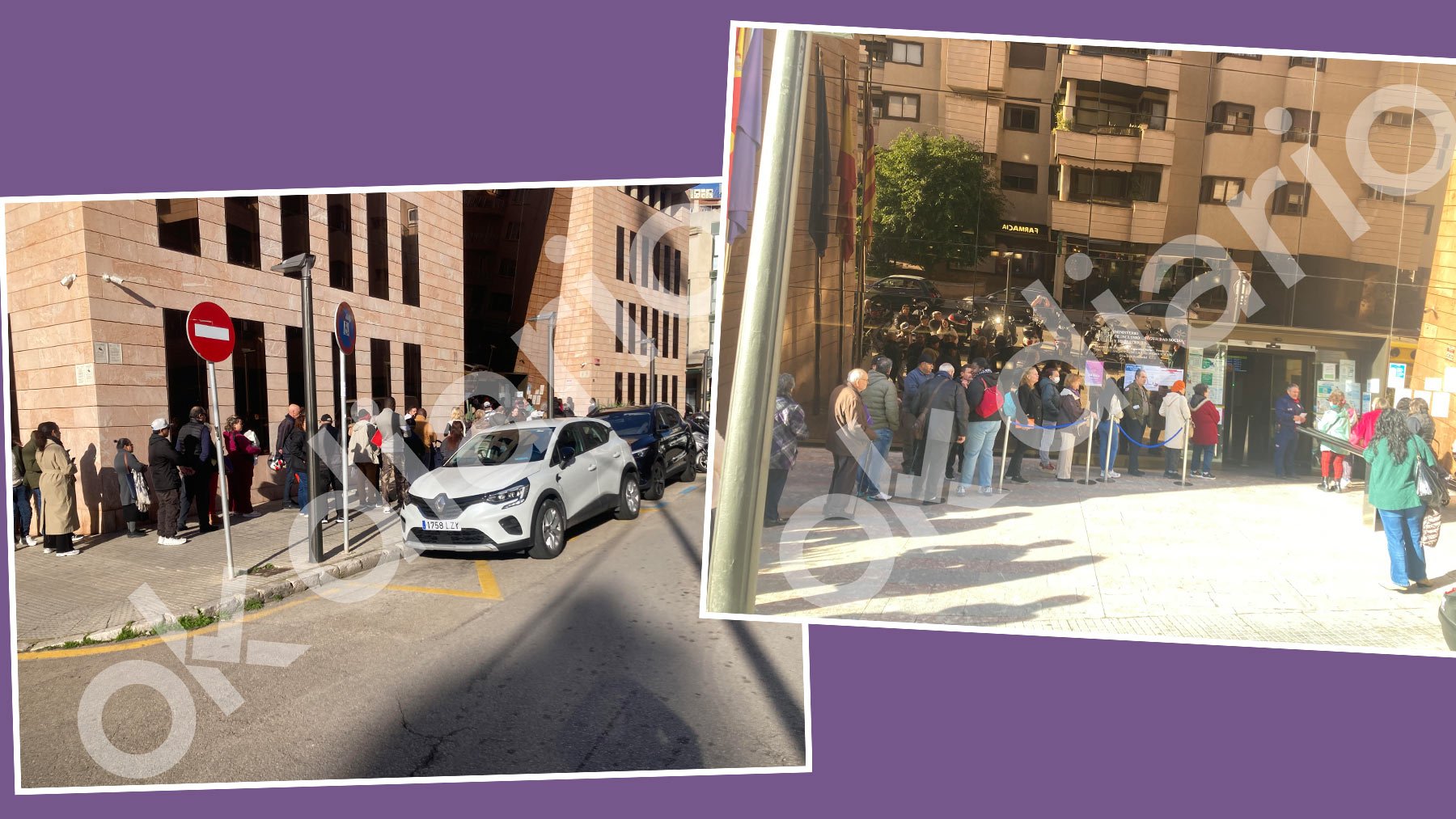 Colas interminables en la Seguridad Social de Palma para cobrar la