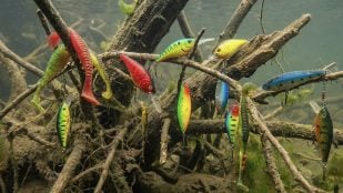 Pesca, señelos, pescadores