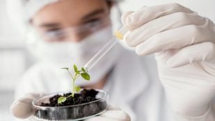 Científicos en el laboratorio.