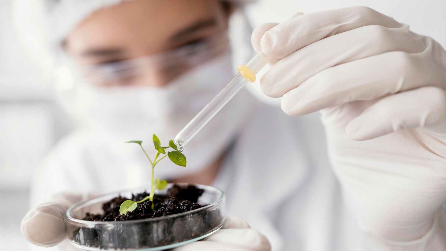 China se pasa el juego: ya está utilizando una