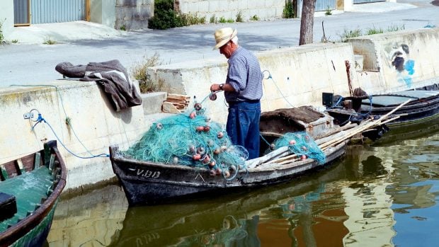 pescador albufera