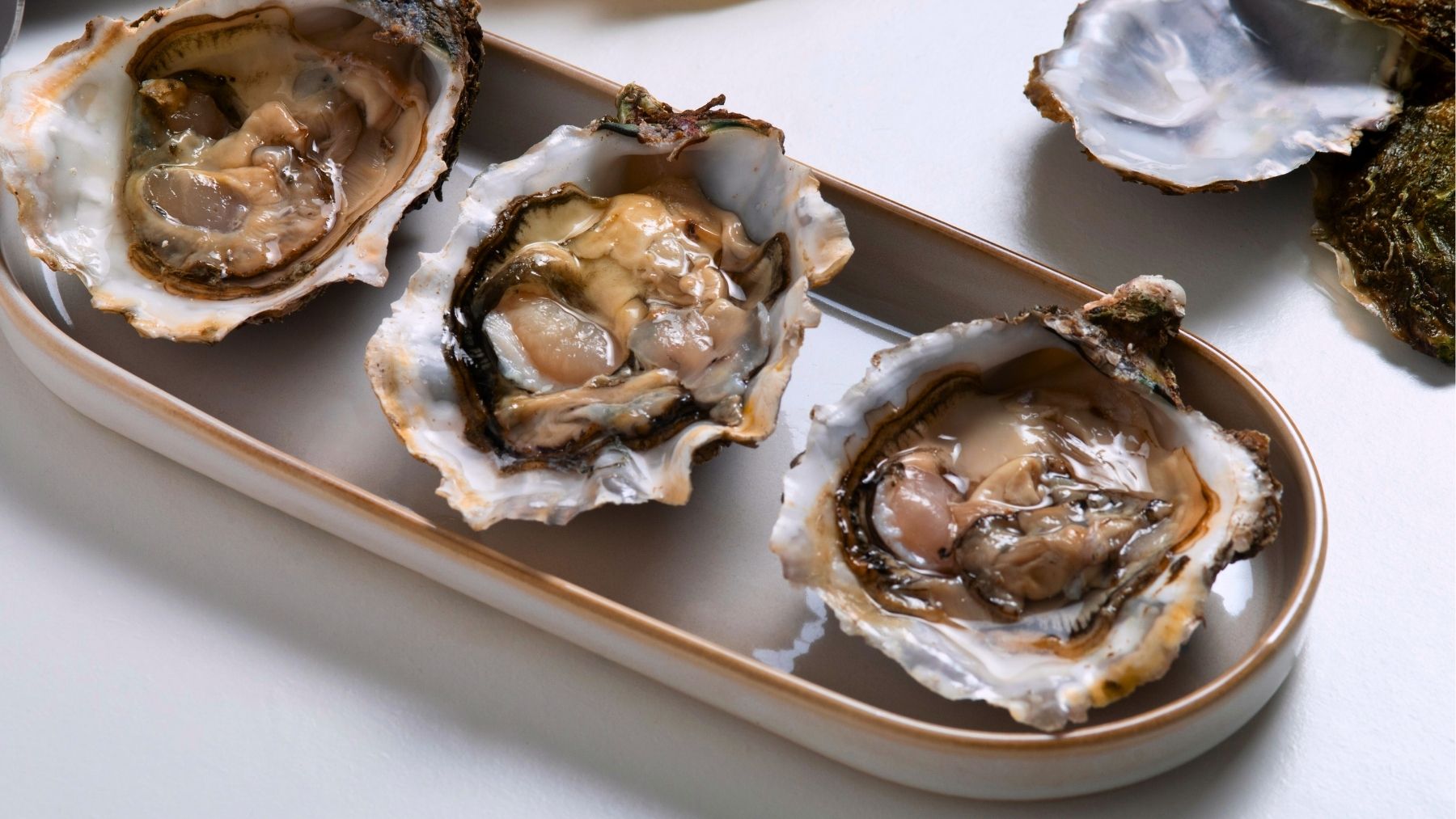 Suena raro pero la ciencia lo avala: el animal que pasó de ser especie invasora a un gran recurso productivo