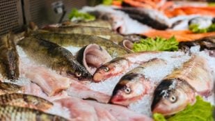 Pescadero, mitos, pescado