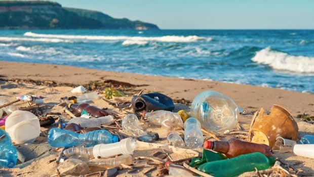 La excesiva presencia de pl&aacute;stico en los ecosistemas est&aacute; generando un grave problema de contaminaci&oacute;n ambiental.