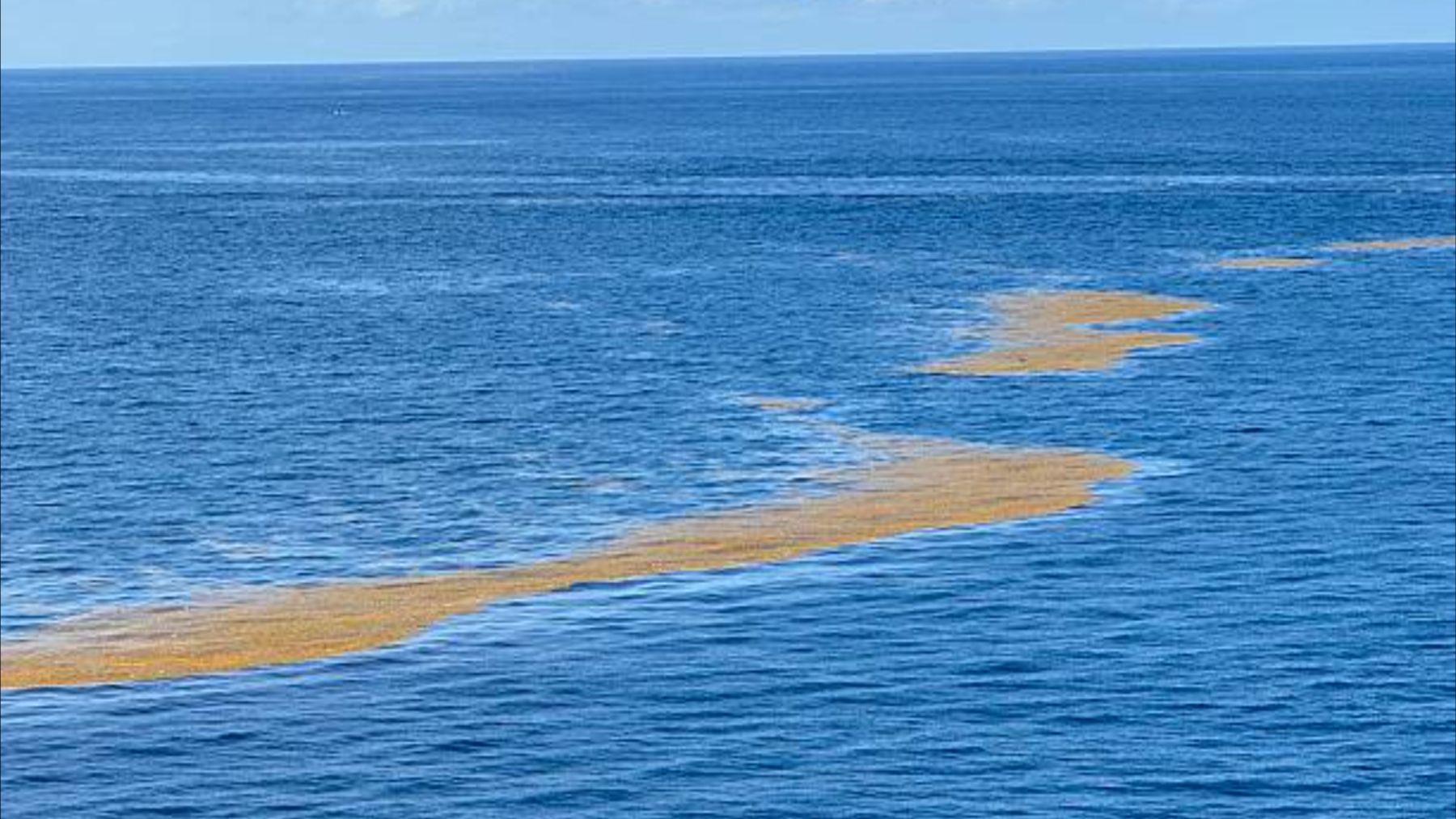 Bombazo en la geología: hallan una línea marrón en el océano que no para de crecer